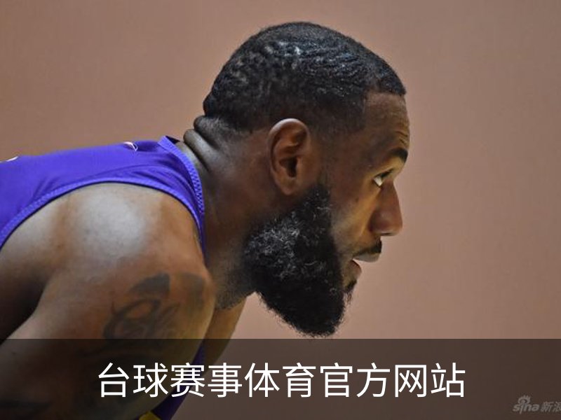 台球赛事体育官方网站概况